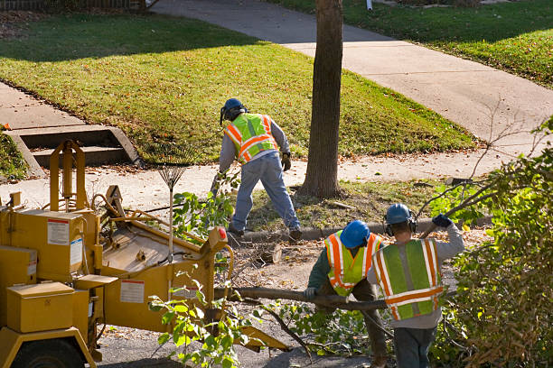 Soil Testing and Treatment in Sterling City, TX